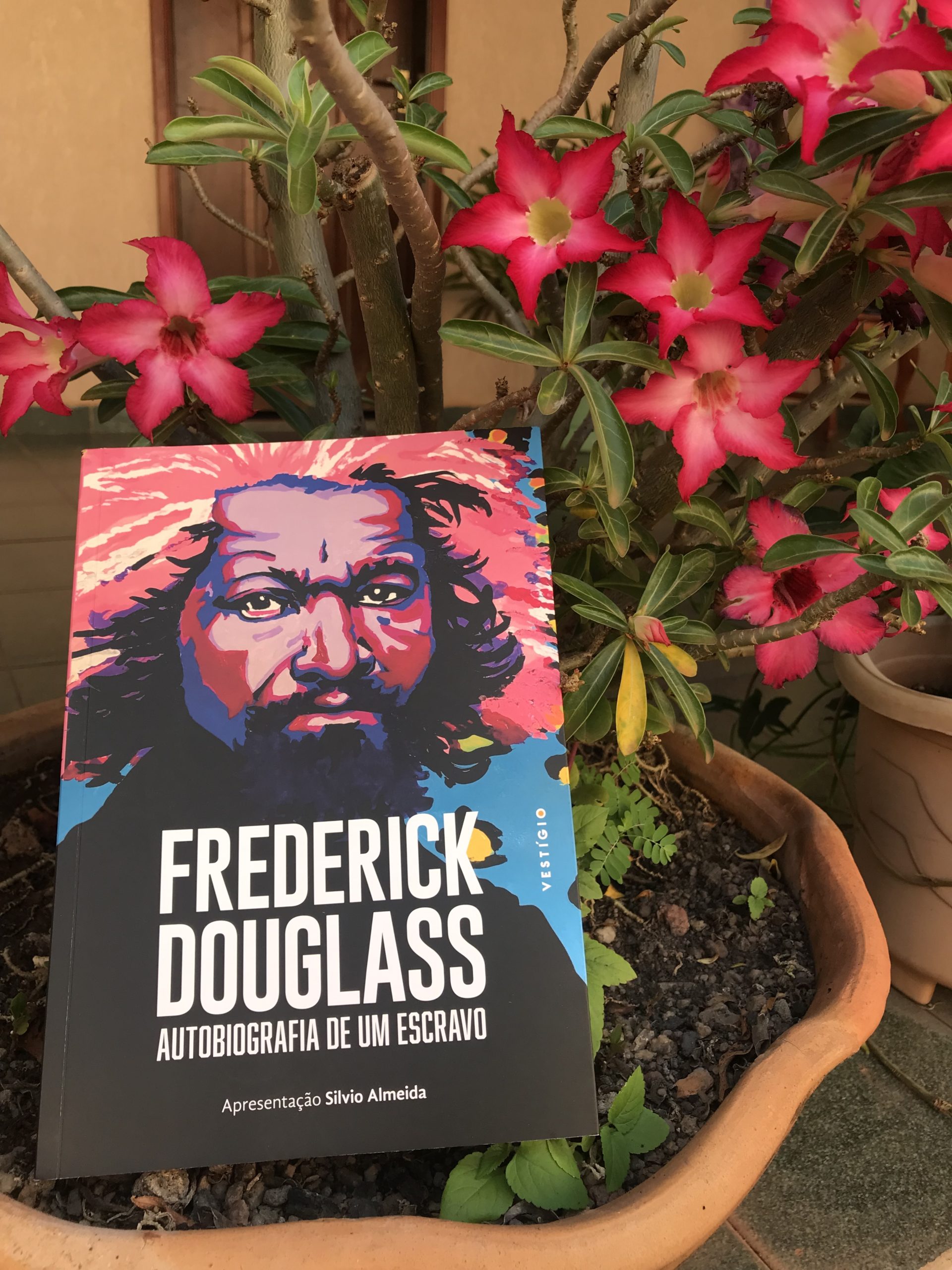 Frederick Douglass: Autobiografia de um escravo